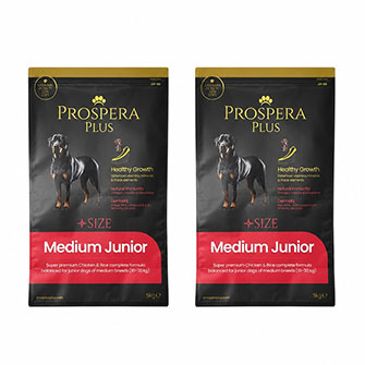 Product 6 - Image 4
